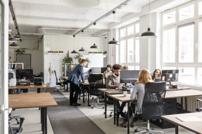 Équipe Evoludis en réunion